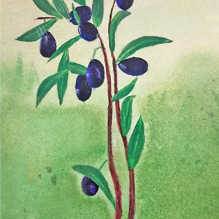 Il Girasole Country Village * Massignano